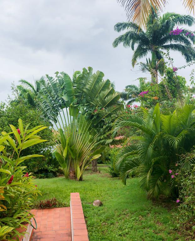 Royal Palm Holiday Apartment Méro エクステリア 写真